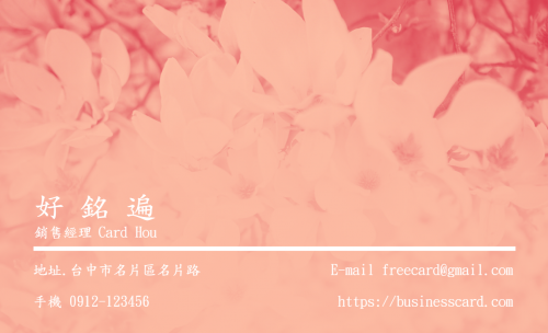 版型 #134正面預覽